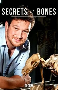 Secrets of Bones
