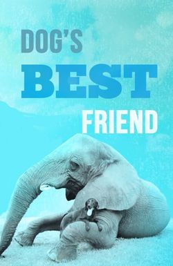 Dog's Best Friend