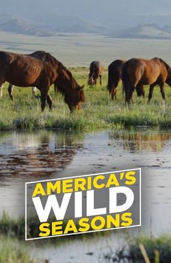 America's Wild Seasons