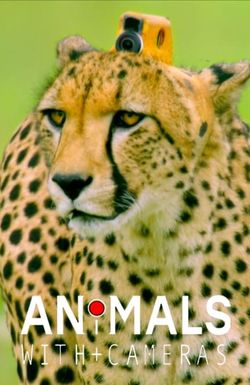 Animals with Cameras