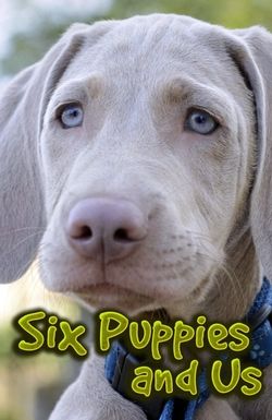 Six Puppies and Us