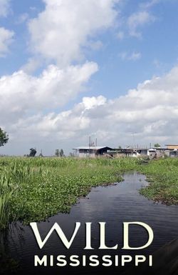 Wild Mississippi