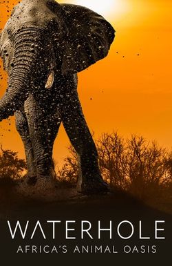 Waterhole: Africa's Animal Oasis