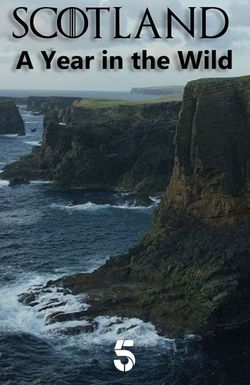 Scotland: A Wild Year