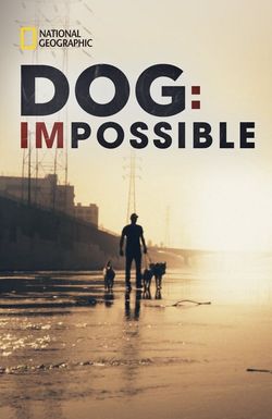 Dog: Impossible