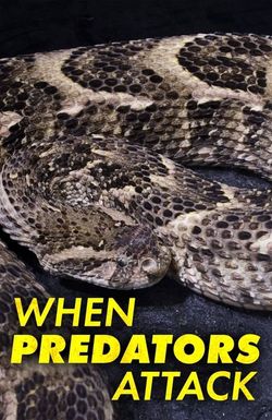 When Predators Attack