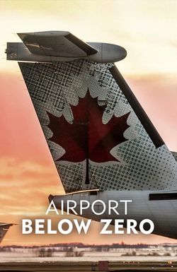 Airport: Below Zero