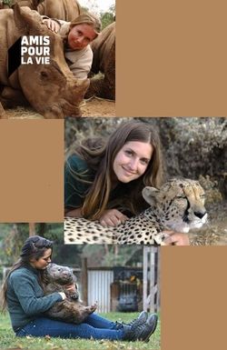 Wild Animal Reunions