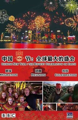 Chinese New Year: The Biggest Celebration on Earth