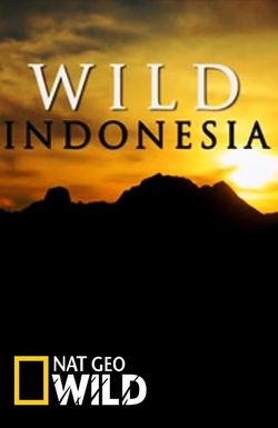 Destination Wild: Indonesia