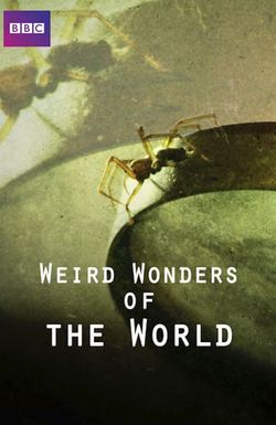 Weird Wonders of the World