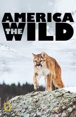 America the Wild