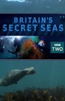 Britain's Secret Seas