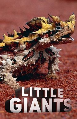 Little Giants