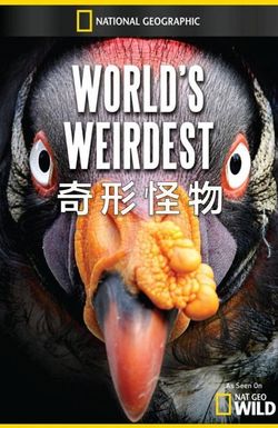 World's Weirdest