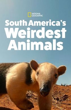 South America's Weirdest Animals