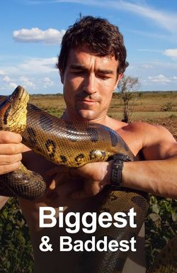 Biggest and Baddest 3
