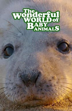 The Wonderful World of Baby Animals