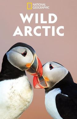 Destination Wild: Wild Arctic