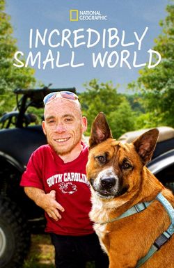 Incredibly Small World