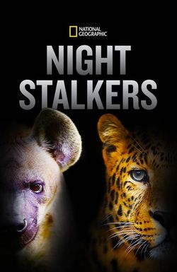Night Stalkers