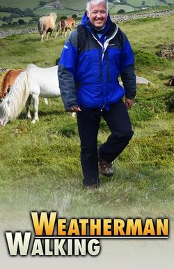 Weatherman Walking
