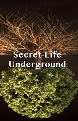 Secret Life Underground