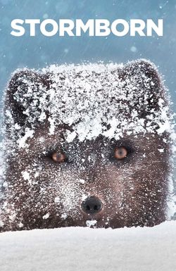 Stormborn