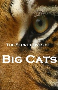 The Secret Lives of Big Cats