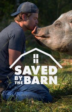 Saved by the Barn