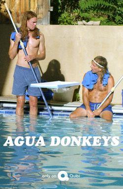 Agua Donkeys