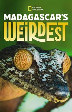Madagascar Weirdest