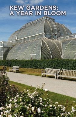 Kew Gardens: A Year in Bloom