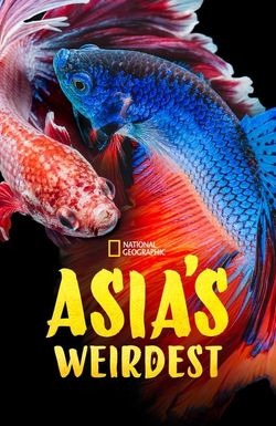 Asia's Weirdest
