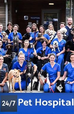 24/7 Pet Hospital