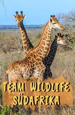 Work on the Wild Side