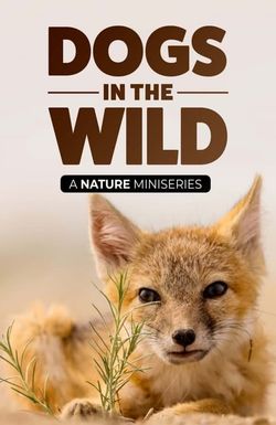Dogs in the Wild, A Nature Miniseries