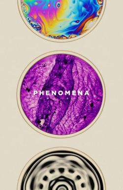 Phenomena