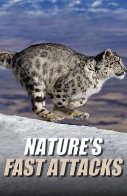 Nature's Fast Attacks