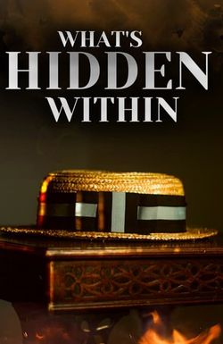 What's Hidden Within