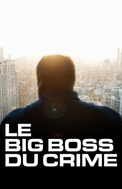The Big Boss: A 21st Century Criminal