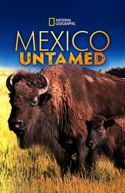 Mexico Untamed