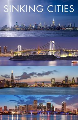 Sinking Cities