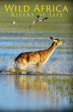 Wild Africa: Rivers of Life