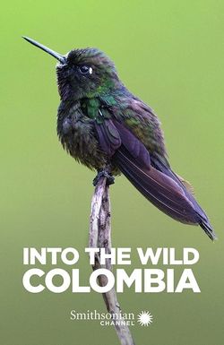 Into the Wild: Colombia