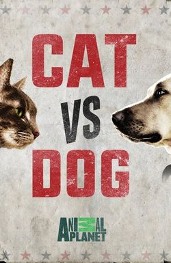 Cat Vs. Dog