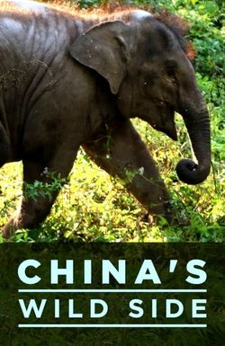 China's Wild Side