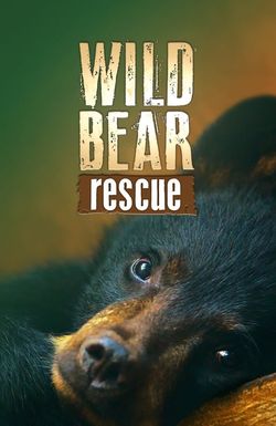 Wild Bear Rescue