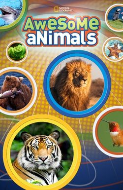 Awesome Animals