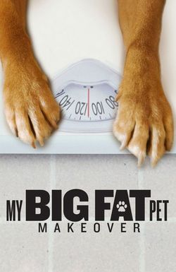 My Big Fat Pet Makeover
